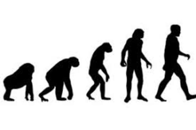 The Theory of Evolution