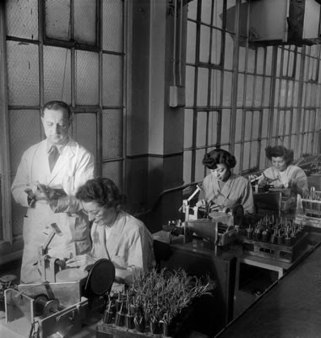 SUPERVISIÓN FUNCIONAL