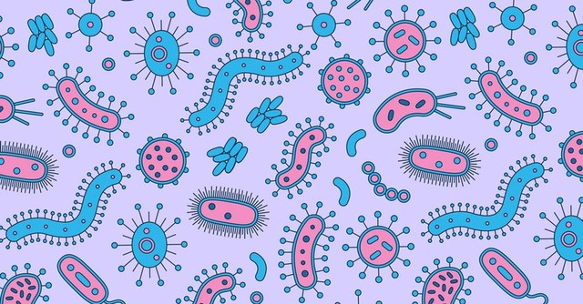 Discovery and Theory on Germs