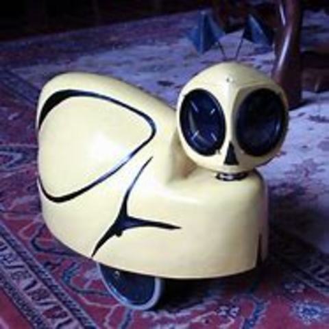 tortue cybernétique