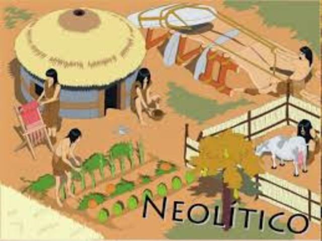 neolitico