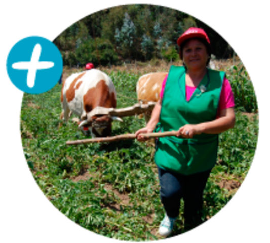 De la mano del país