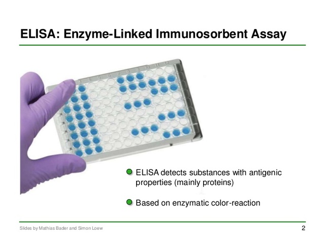 Development of ELISA test to screen for diseases such as HIV.