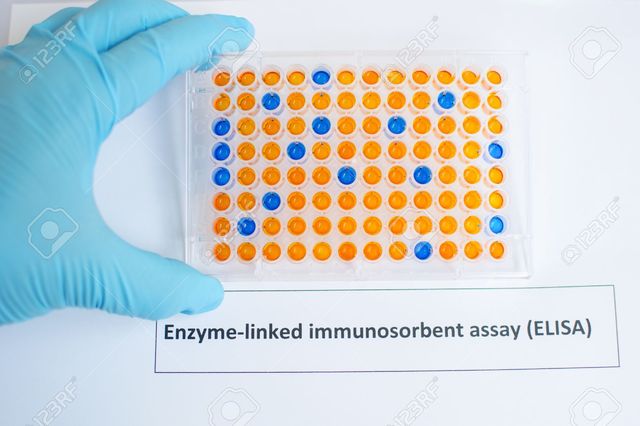 ELISA