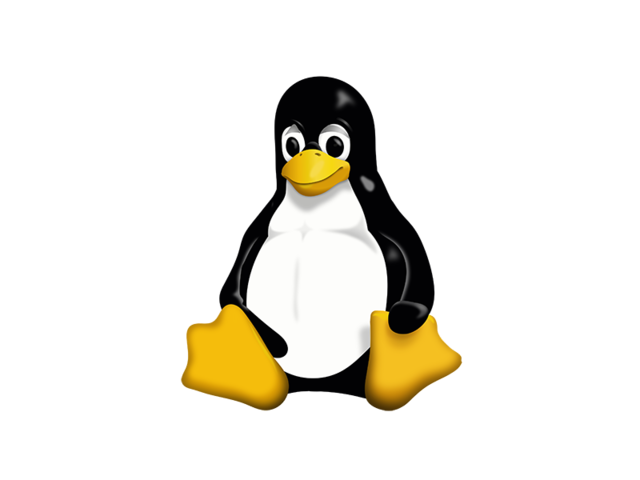 Surge Linux