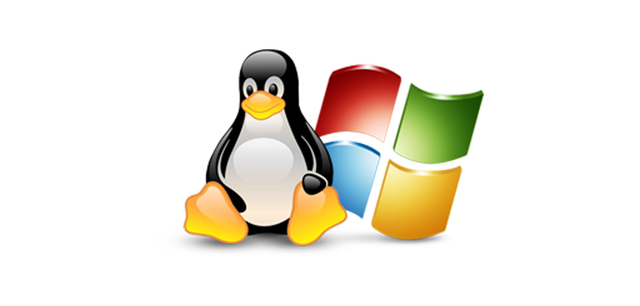 Linux MS-DOS 5.0