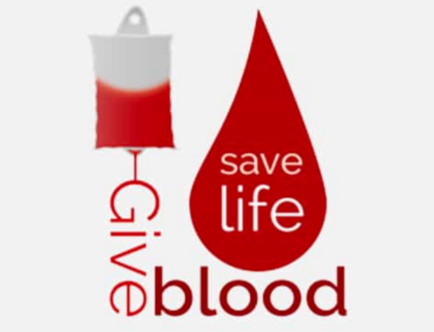 Dr. Bernard Fantus established the first blood bank