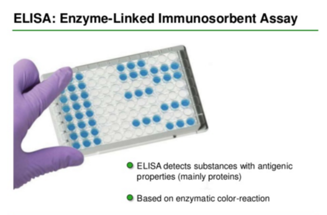Development of ELISA test to screen for diseases such as HIV