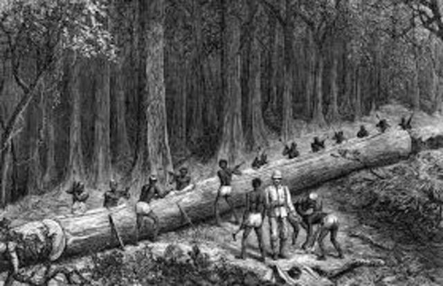 exploración y explotación(África)