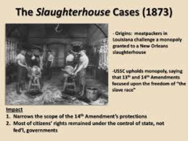 Slaughter House Cases