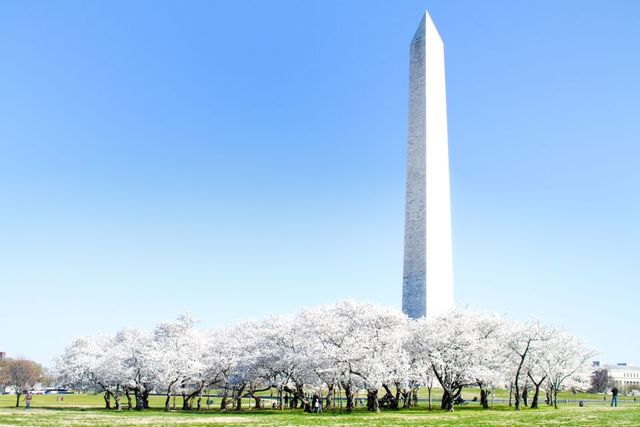 Washington Monument