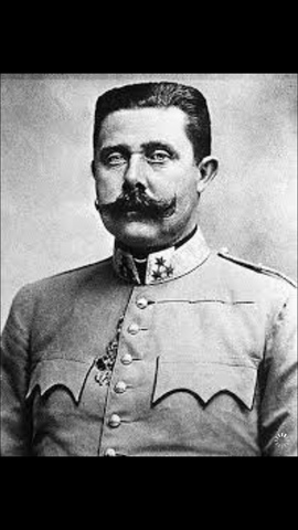 The assassination of Archduke Franz Ferdinand .