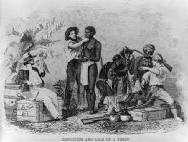 Prince Henry Captures the First Slaves