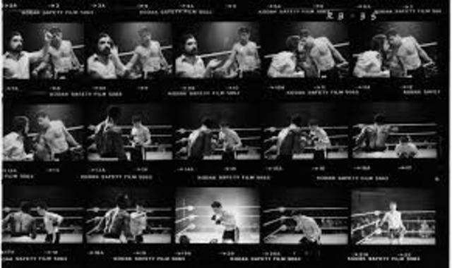 EVOLUCION (Fotograma tras Fotograma)