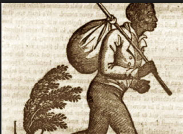 The Fugitive Slave Act