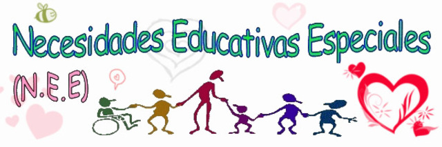 Concepto de NEE