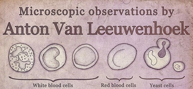 Anton van Leewenhoek