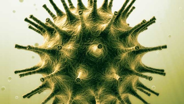 AIDS causing Virus is identified