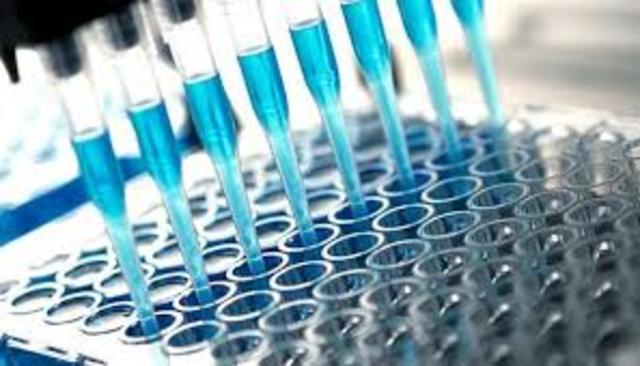 A new development- ELISA