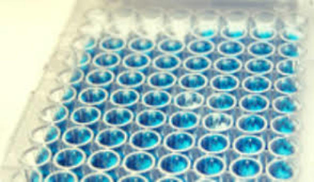 Development of ELISA