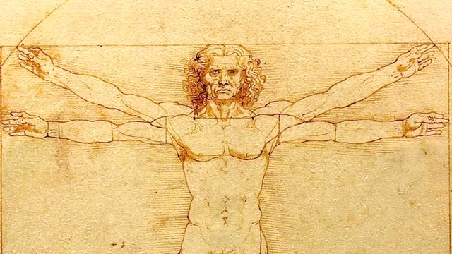 Hombre de vitruvio