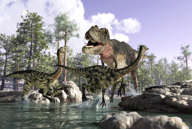 Cretaceous 65-145 MYA