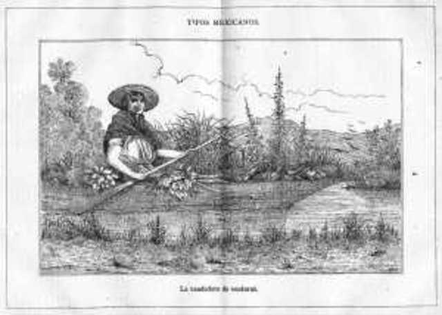 Crisis fiscal en 1884-1885