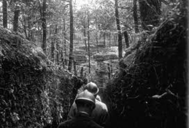 Battle of Argonne Forest
