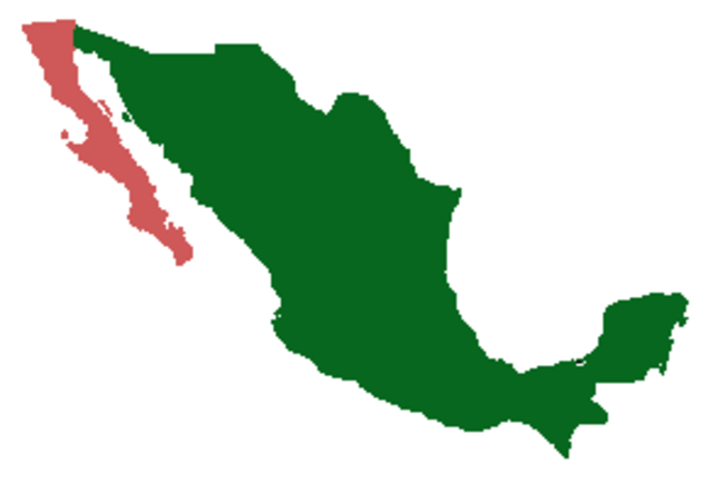 "Año de la Bioética en México"