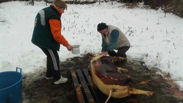 Crăciunul în România