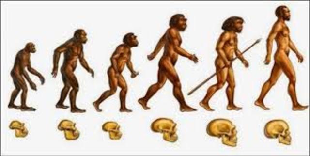 EL PROCESO DE HOMINIZACIÓN