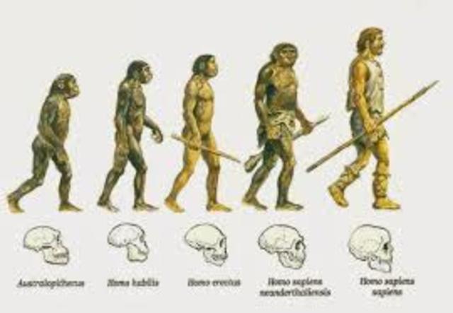 el proceso de hominizacion