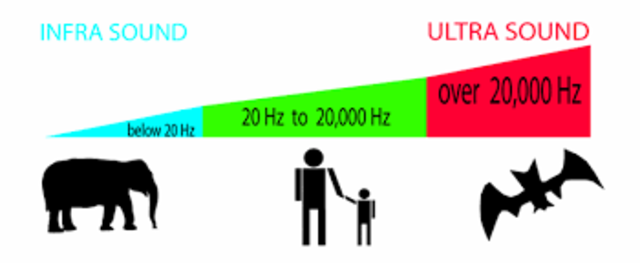 Tyskeren Heinrich Hertz efterviser eksperimentielt Maxwells ligninger