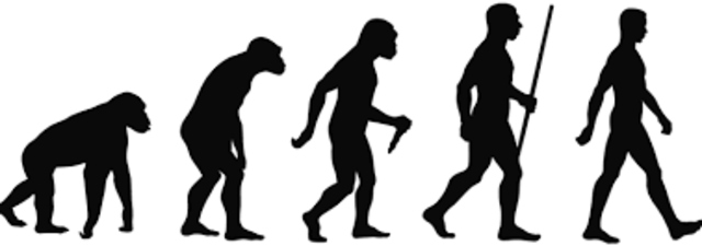 Teoria de la evolucion de Charles darwin