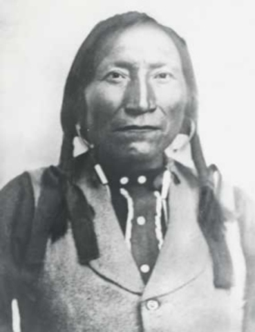 Lone Wolf v. Hitchcock