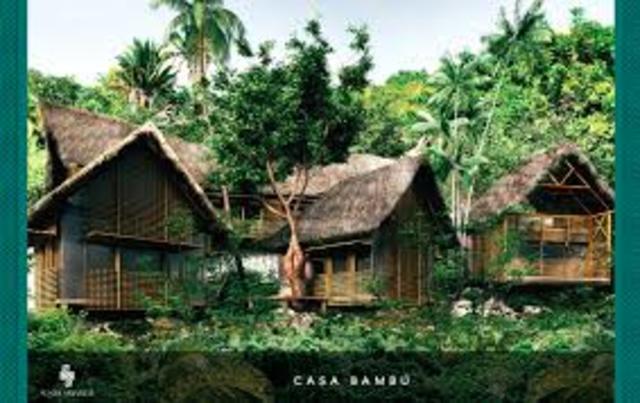 Sayulita had only six or seven houses