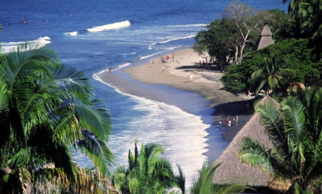 The production of coconuts was reduced