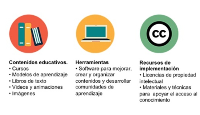 Julio 2011 Dra. María Luz Cacheiro González