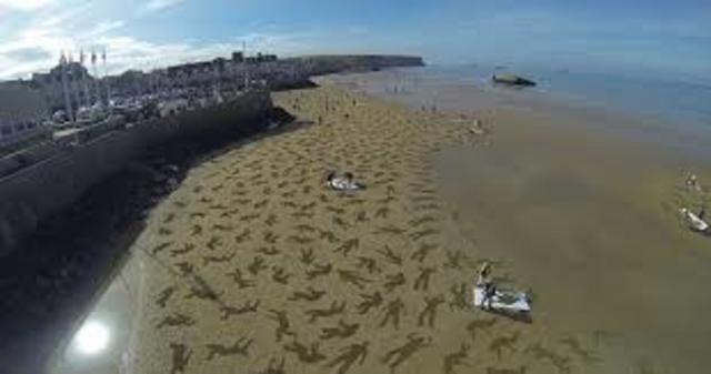 Normandy/battle of the Bulge