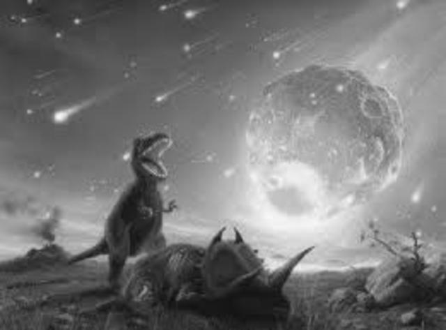 Dinosaurs go extinct