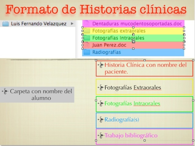 FORMATOS HISTORIA CLINICA AUTOMATIZADA POR TIPO DE ATENCION