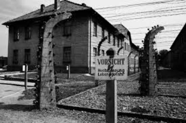 Auschwitz