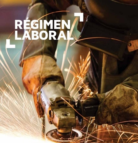 Regimen Laboral