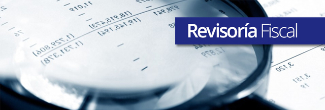 SE REGLAMENTA LA REVISORIA FISCAL