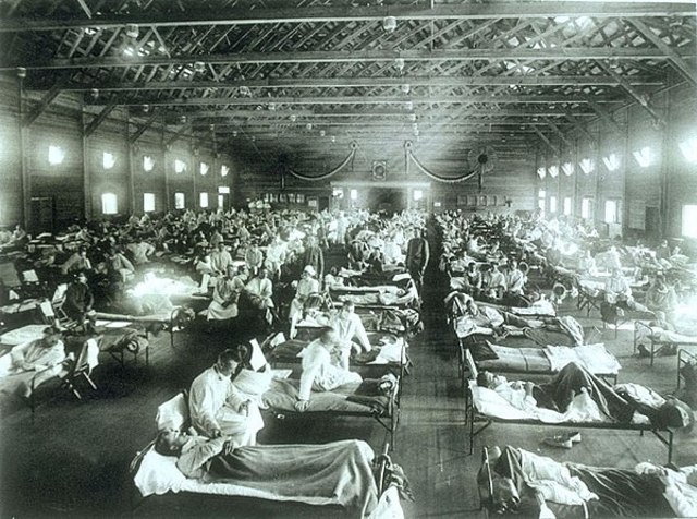 The Spanish Flu