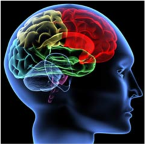 Antecedes científicos: siglos XVIII y XIX