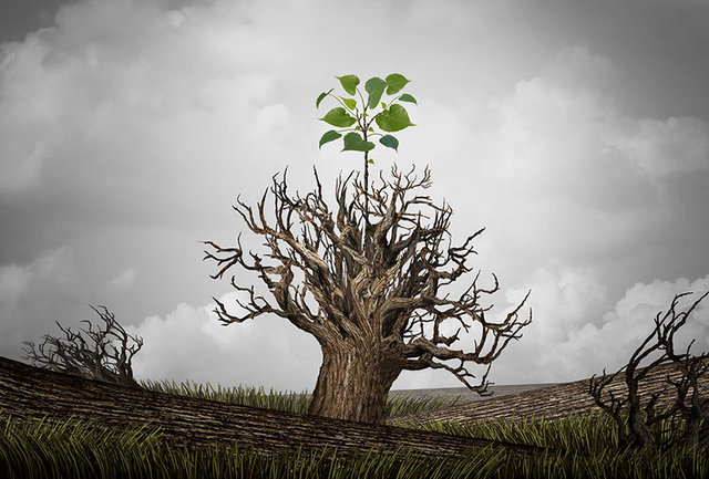 Una Educación Religiosa desde el Pluralismo