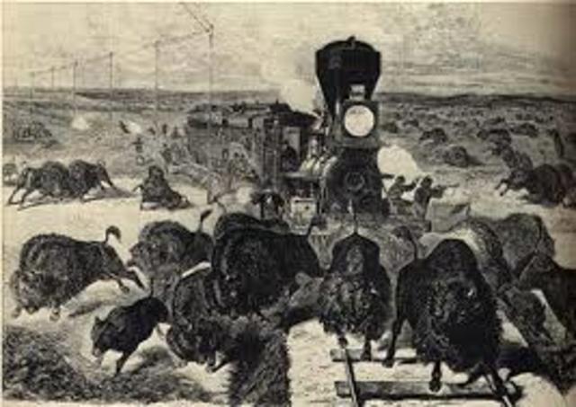 Killing of the Buffalo