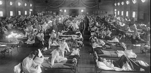 The Spanish Flu