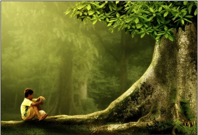 INICIOS DE LA ECOLOGÍA